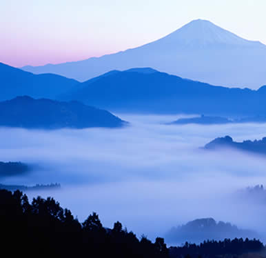 Napean 蓝色山脉带状疱疹后遗神经痛